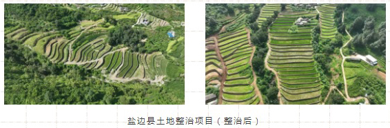 1756430387384128.jpg 1.jpg