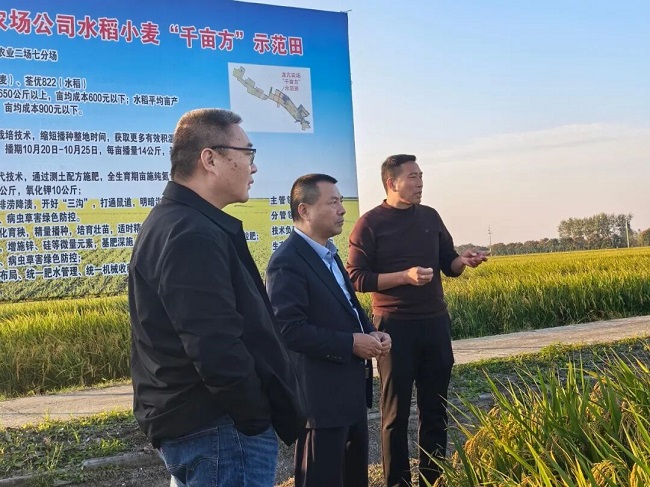 1761442556178134.jpg 222222.jpg