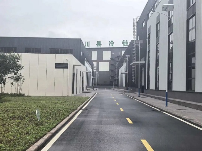 1761574489896296.jpg 222222.jpg