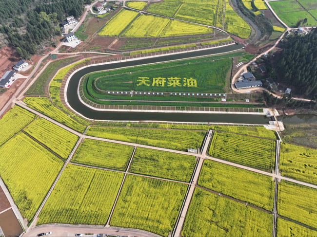 1763710730345580.jpg 7.jpg