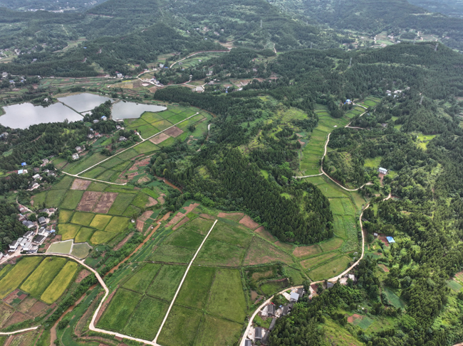 1763711628210586.jpg 5.jpg