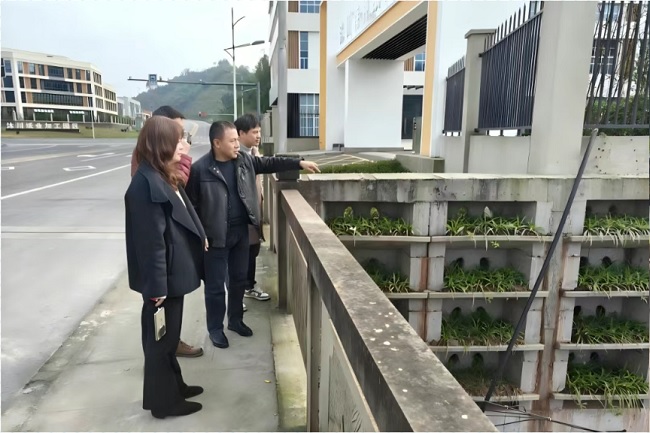 1763736606406075.jpg 333333.jpg